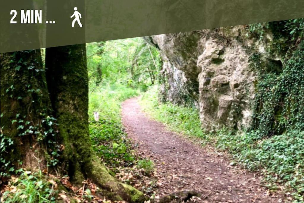 Hastiere-par-dela Laissez-Vous Enchanter Par La Vallee De La Meuse מראה חיצוני תמונה