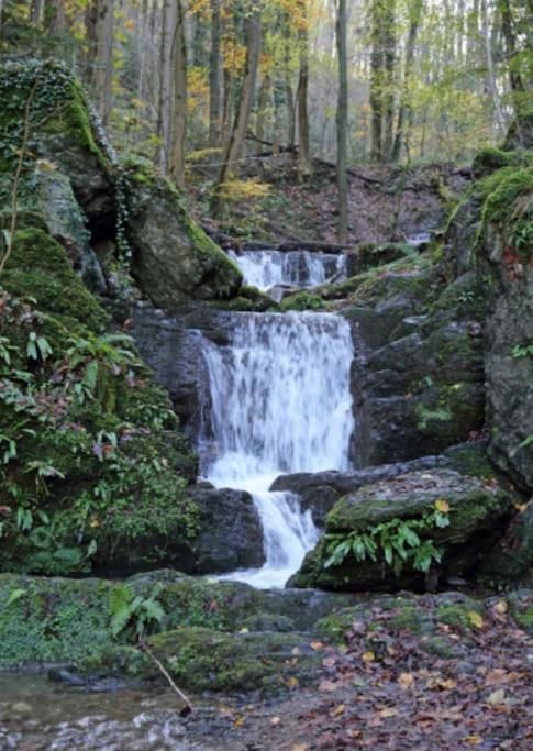 Hastiere-par-dela Laissez-Vous Enchanter Par La Vallee De La Meuse מראה חיצוני תמונה