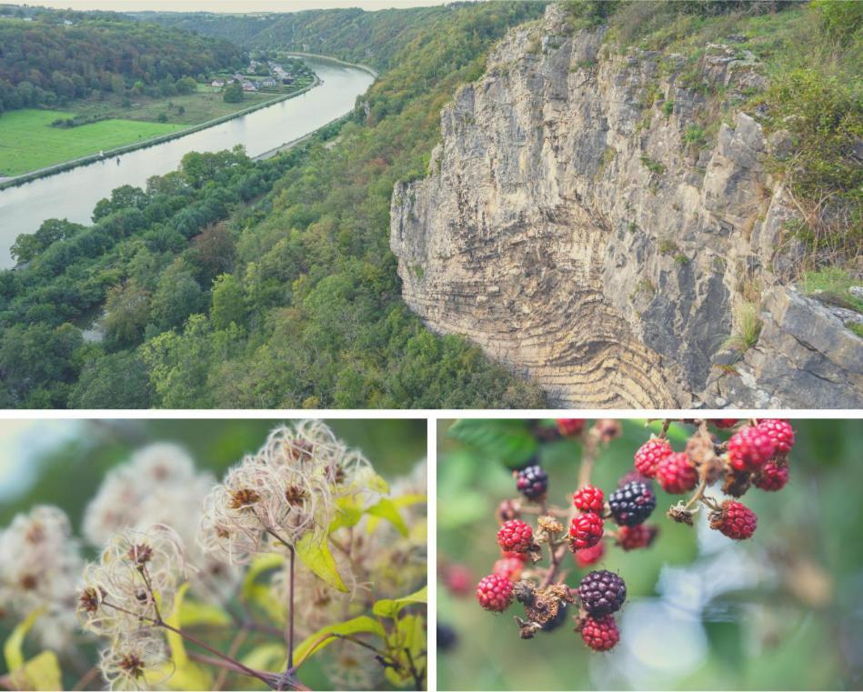 Hastiere-par-dela Laissez-Vous Enchanter Par La Vallee De La Meuse מראה חיצוני תמונה